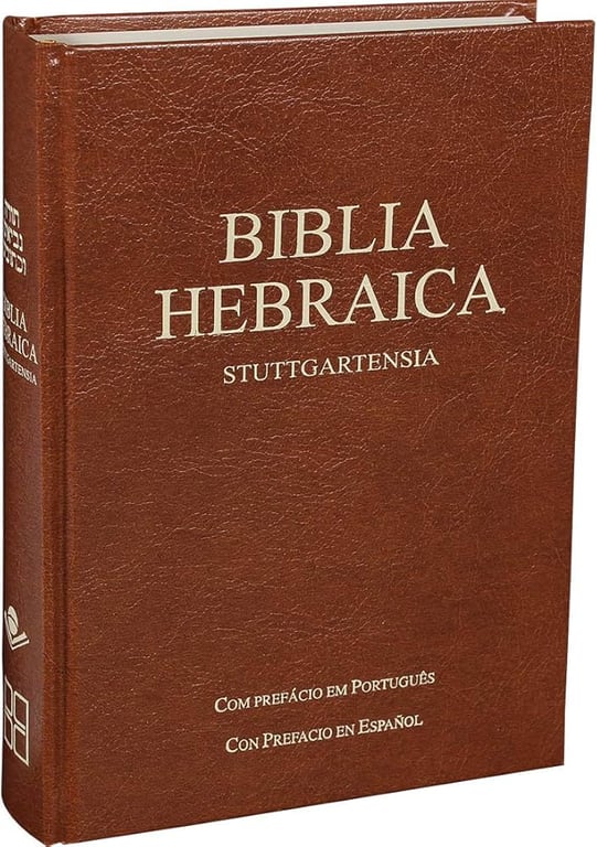 alternative text