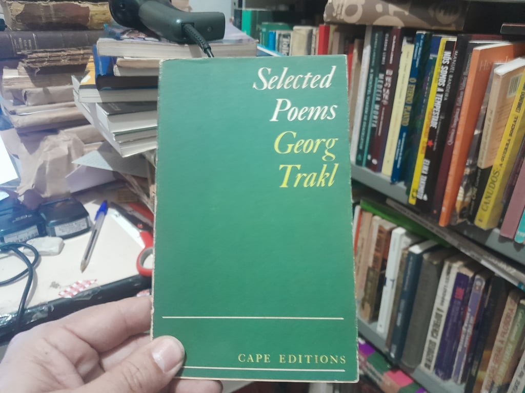 alternative text