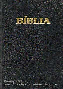 alternative text