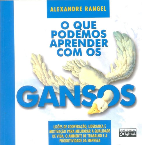 alternative text