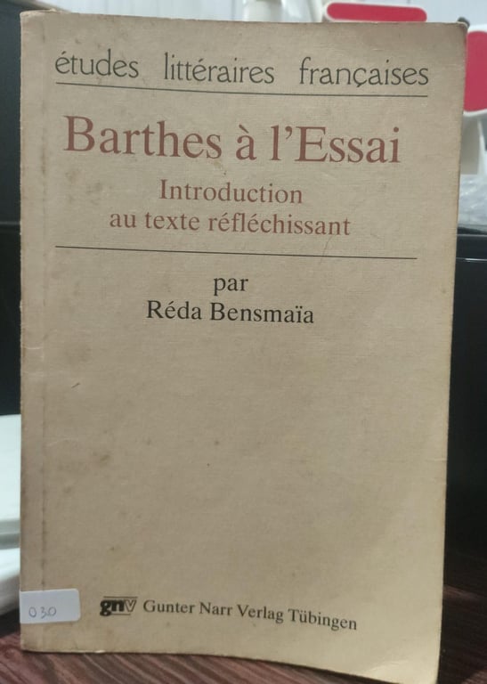 alternative text