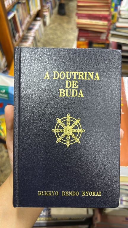 alternative text