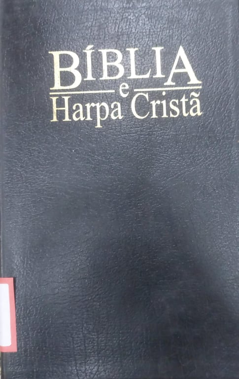 alternative text