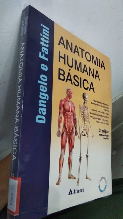 alternative text