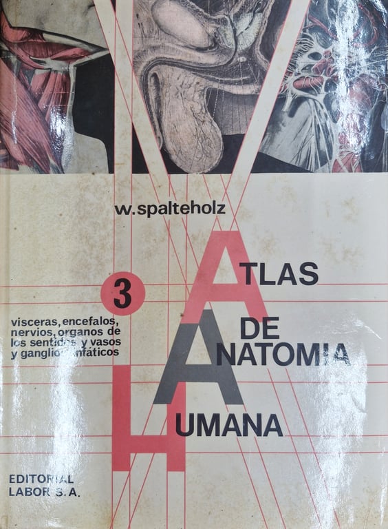 alternative text