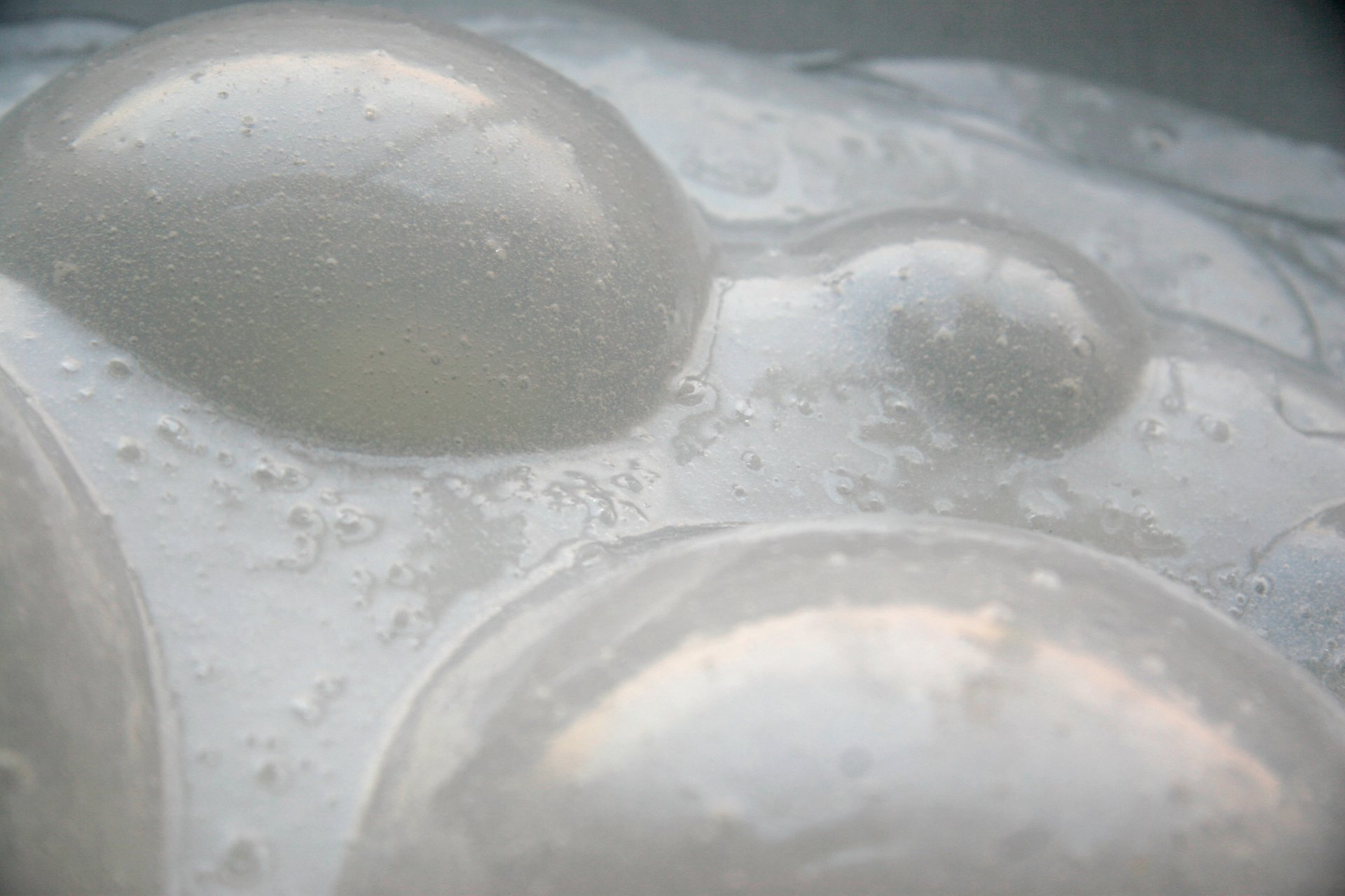 Grimanesa Amoros AURORA #3