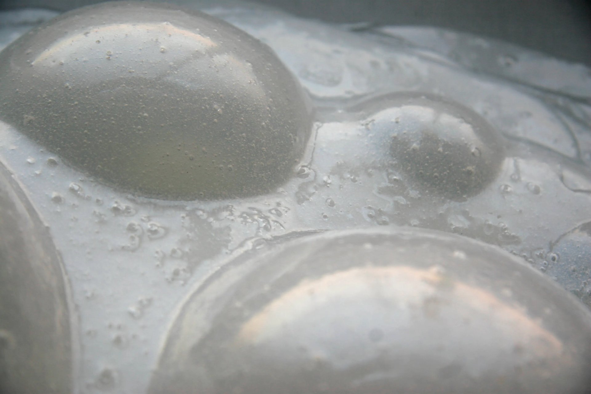 Grimanesa Amoros AURORA #3