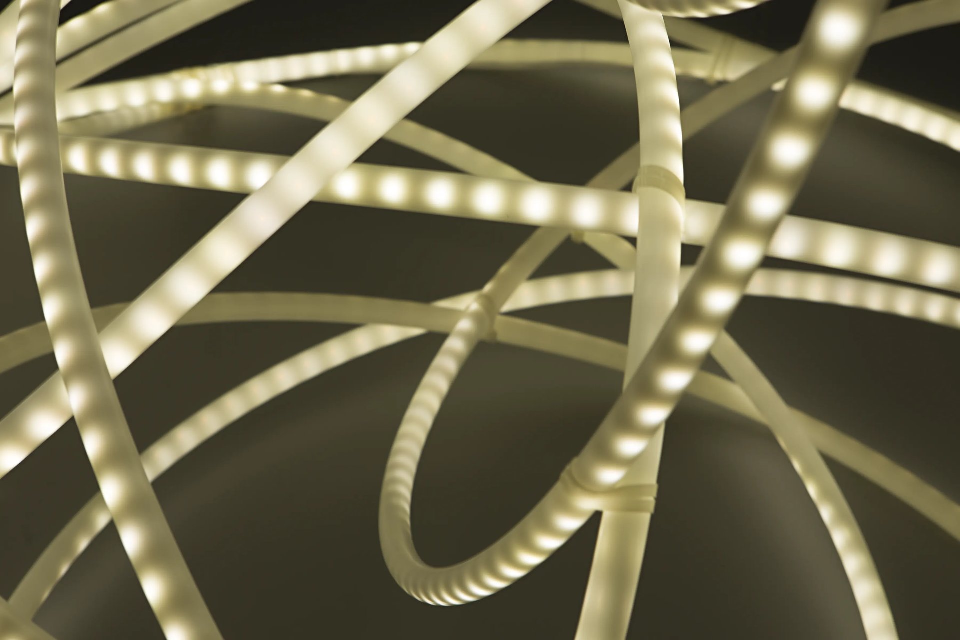 Grimanesa Amoros AUREUM