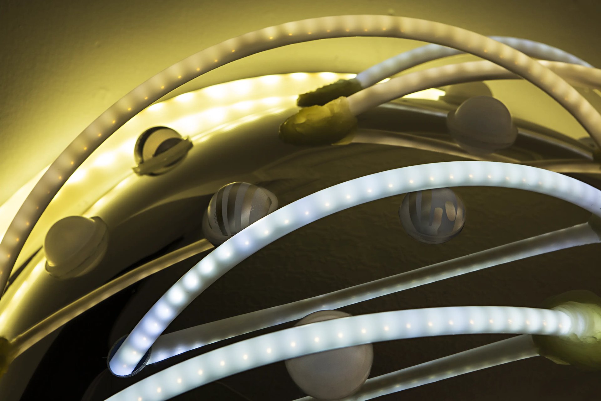 Grimanesa Amoros PARADISUS #1