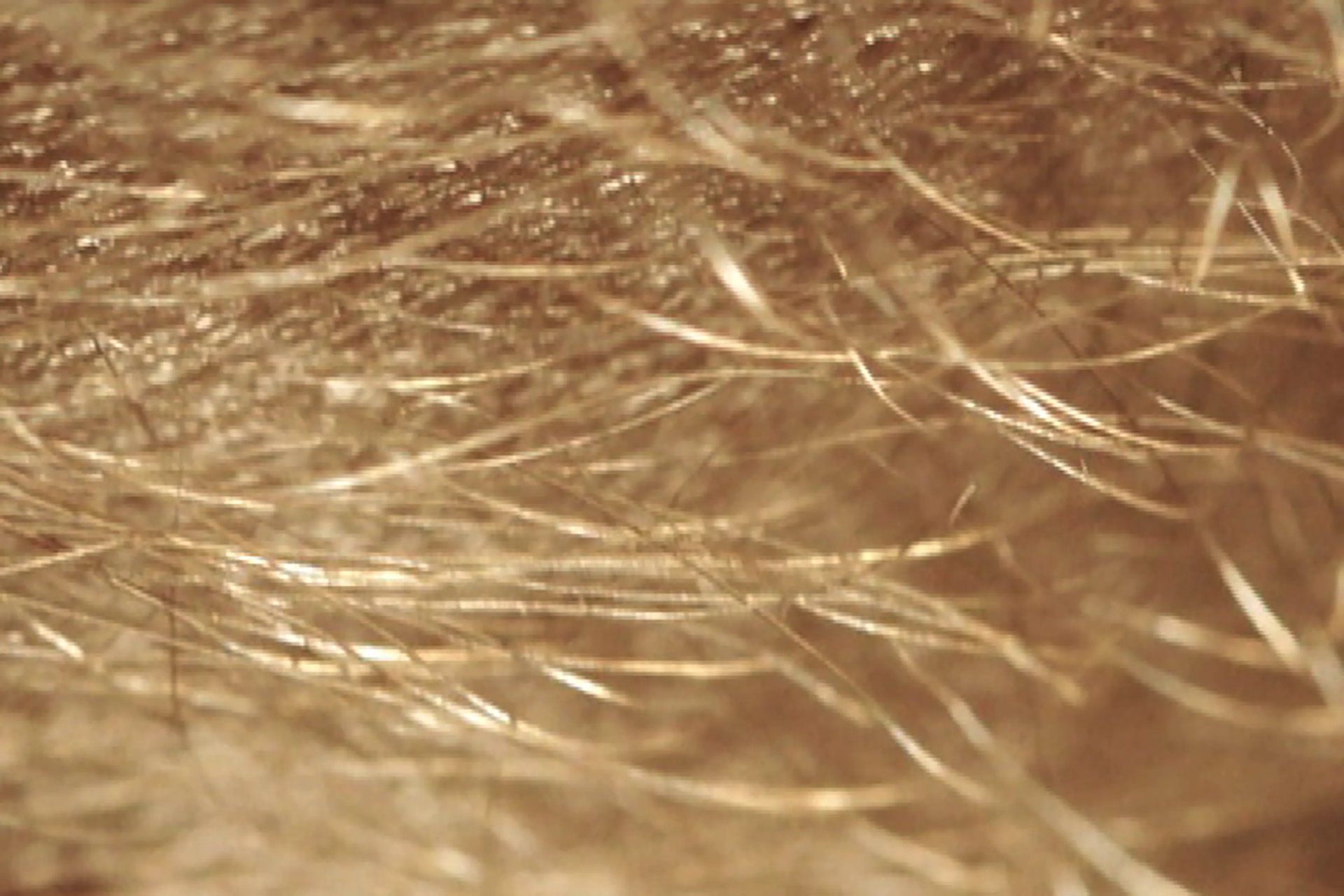 Grimanesa Amoros WHAT A PIECE OF WORK