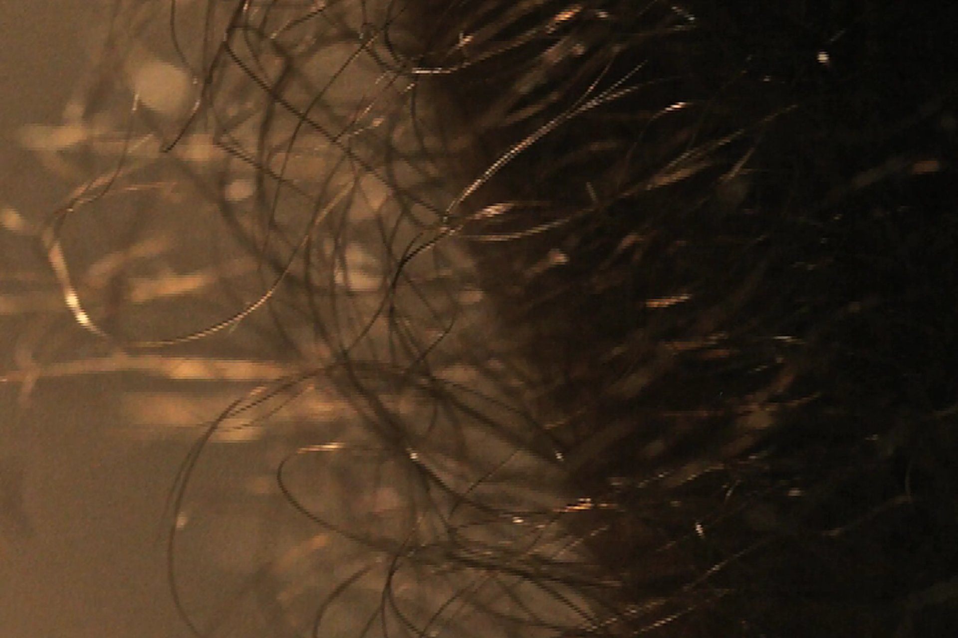 Grimanesa Amoros WHAT A PIECE OF WORK