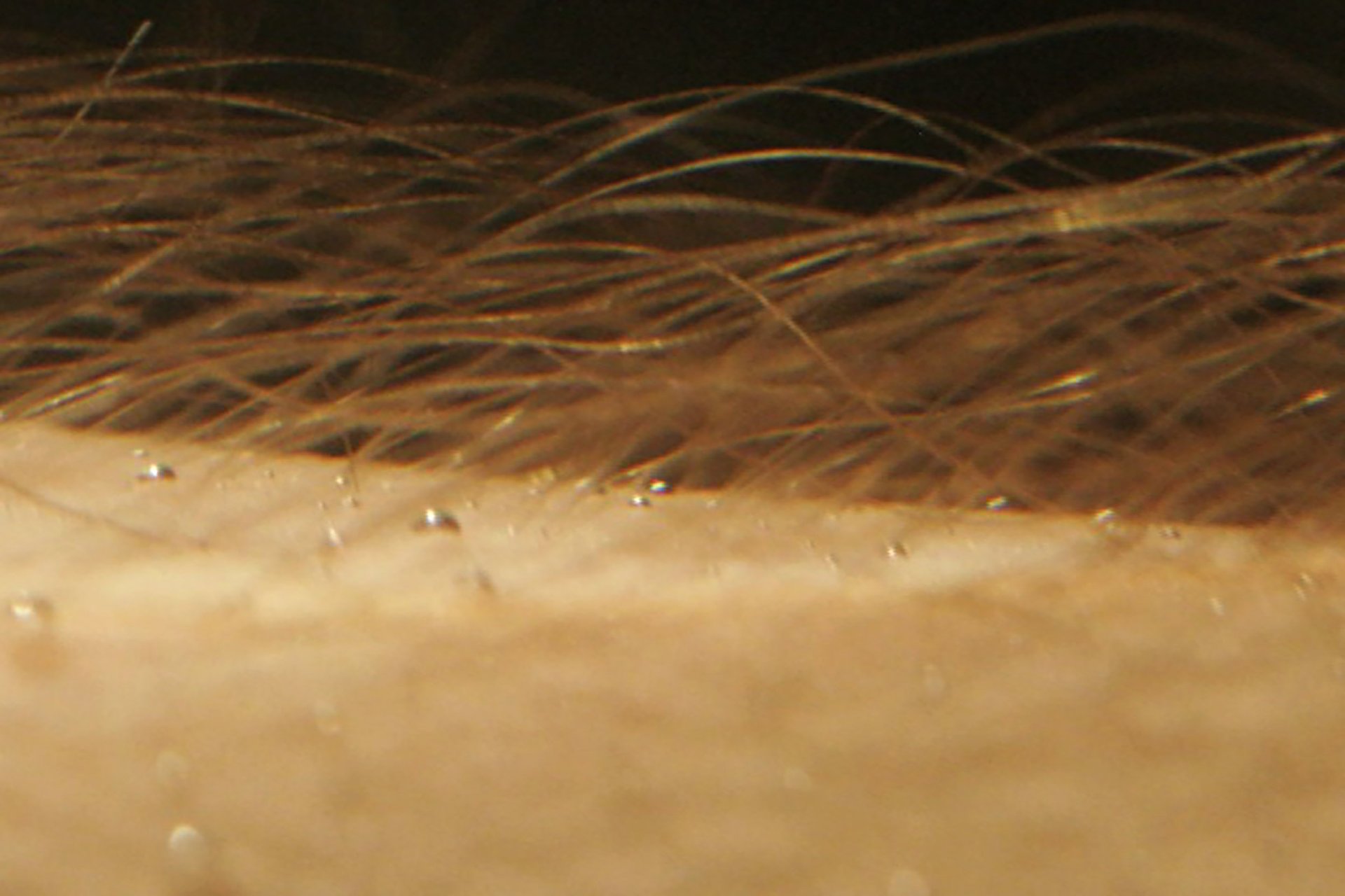 Grimanesa Amoros video thumbnail for WHAT A PIECE OF WORK