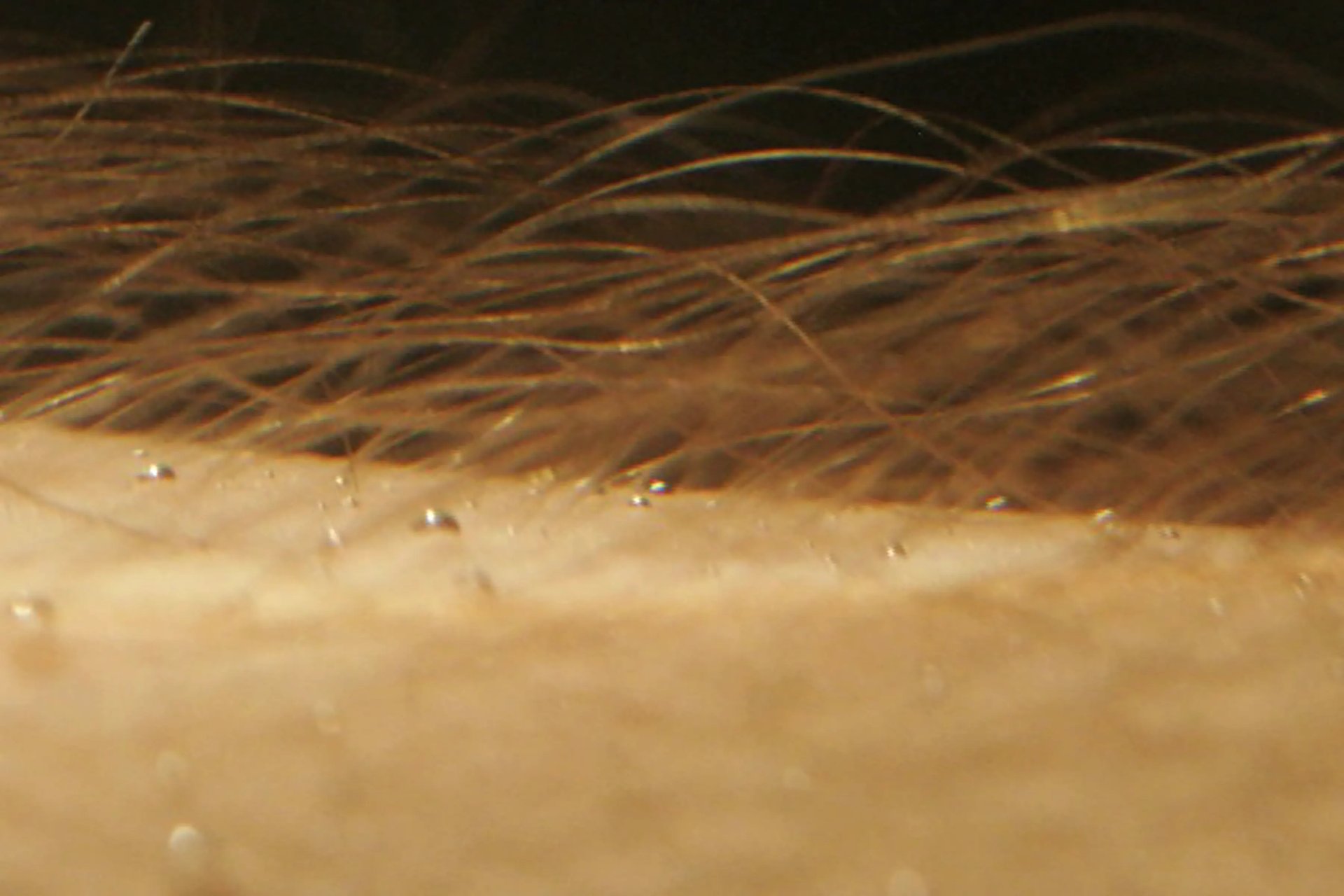 Grimanesa Amoros WHAT A PIECE OF WORK