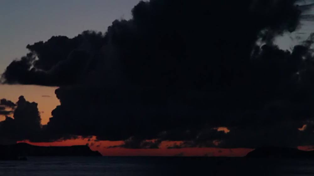 Grimanesa Amoros REFLECTION