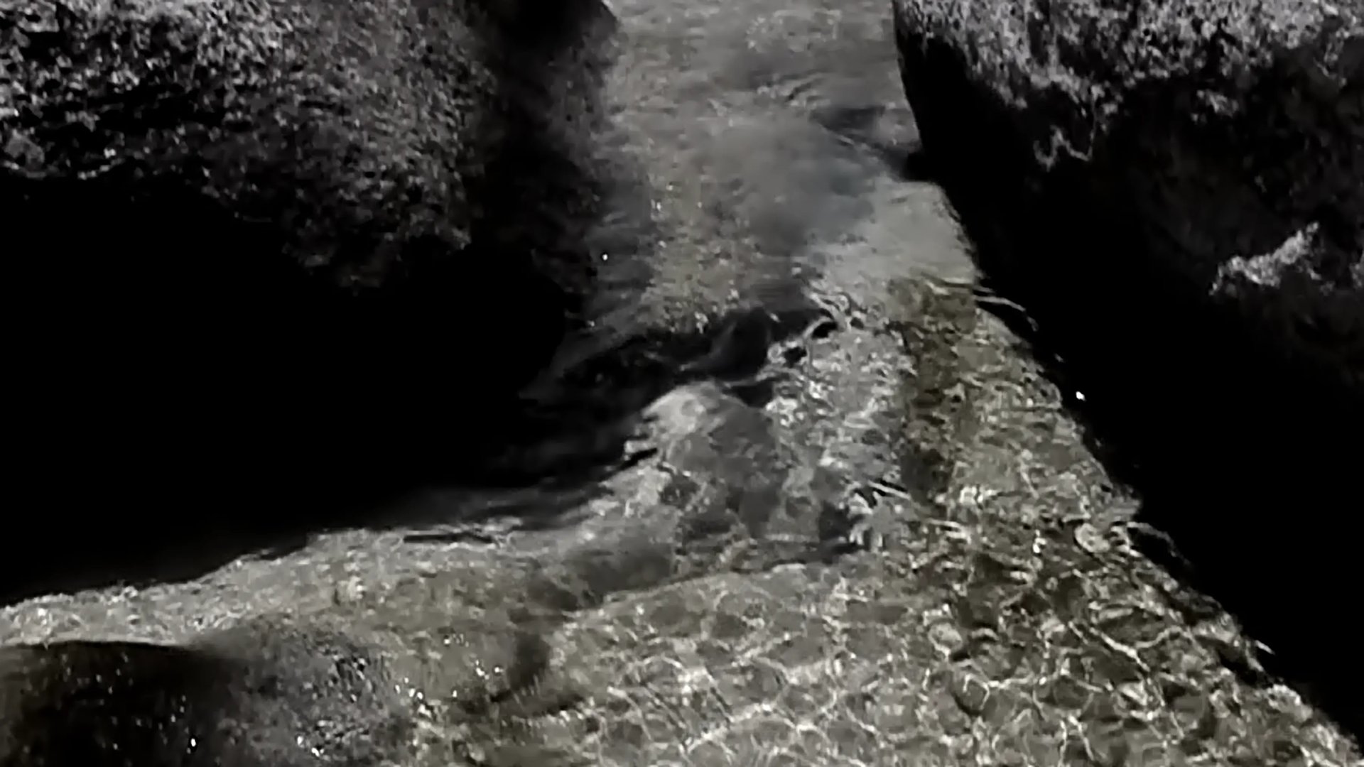 Grimanesa Amoros REFLECTION