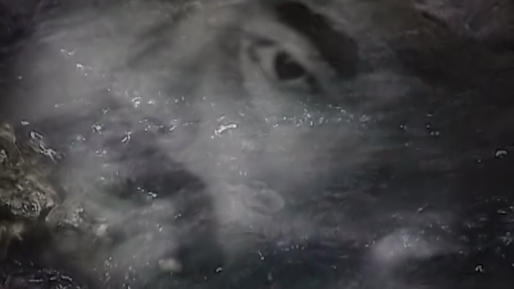 Grimanesa Amoros REFLECTION