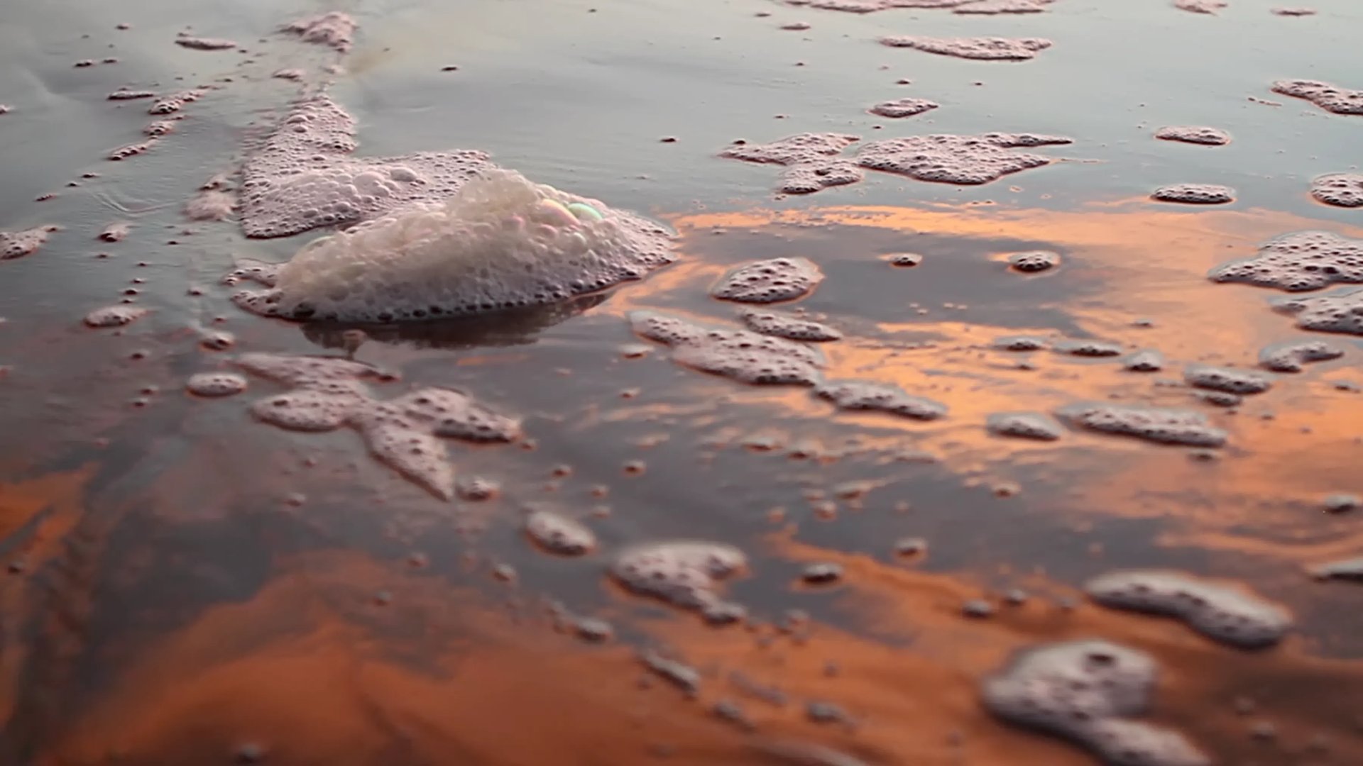 Grimanesa Amoros MIRANDA