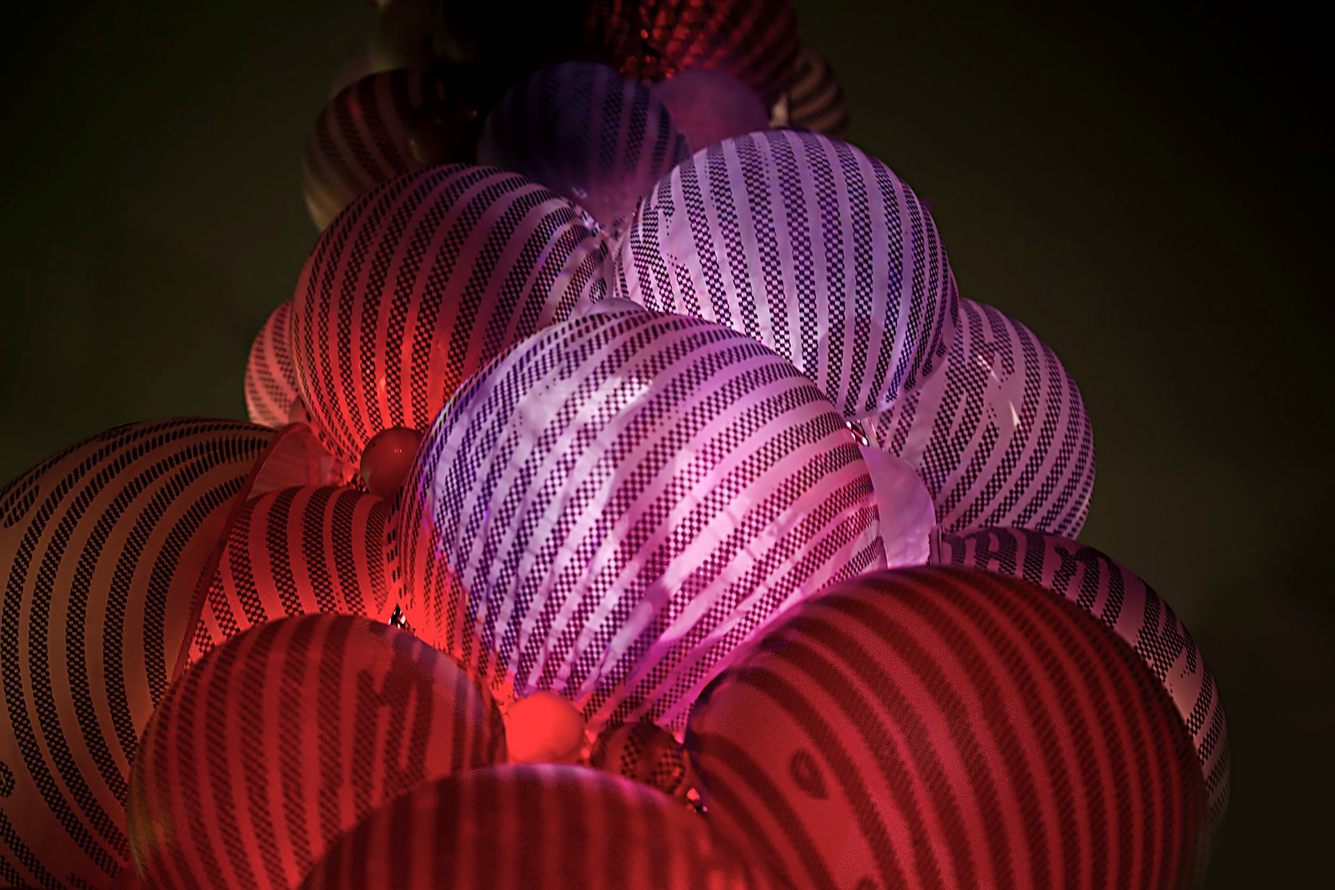 Grimanesa Amoros UROS HOUSE