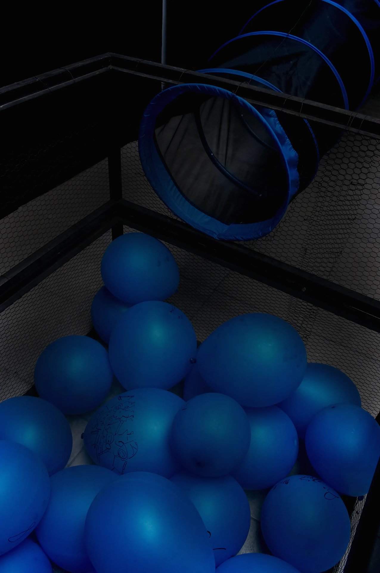 Grimanesa Amoros REFLEXION OBSCURA