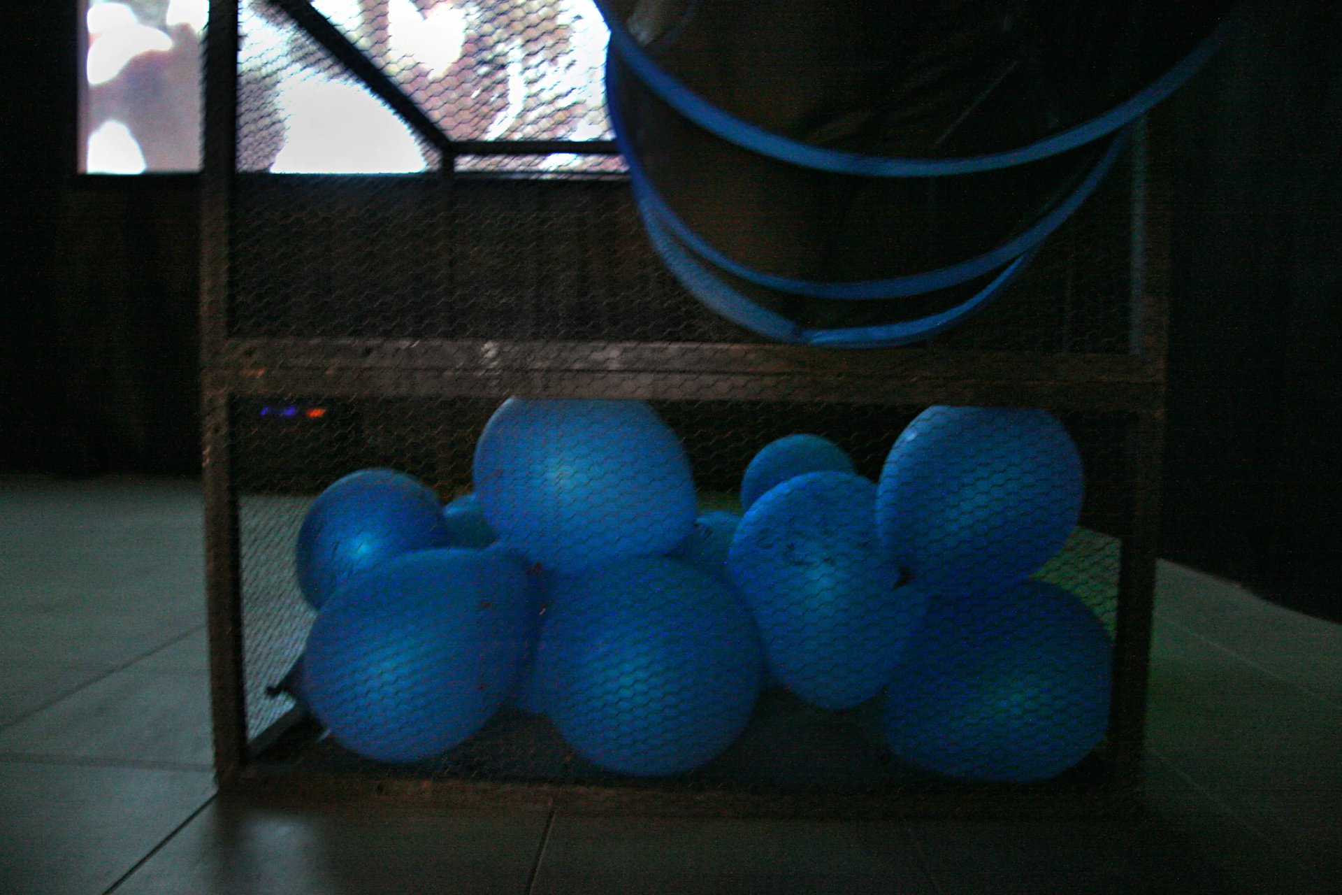 Grimanesa Amoros REFLEXION OBSCURA