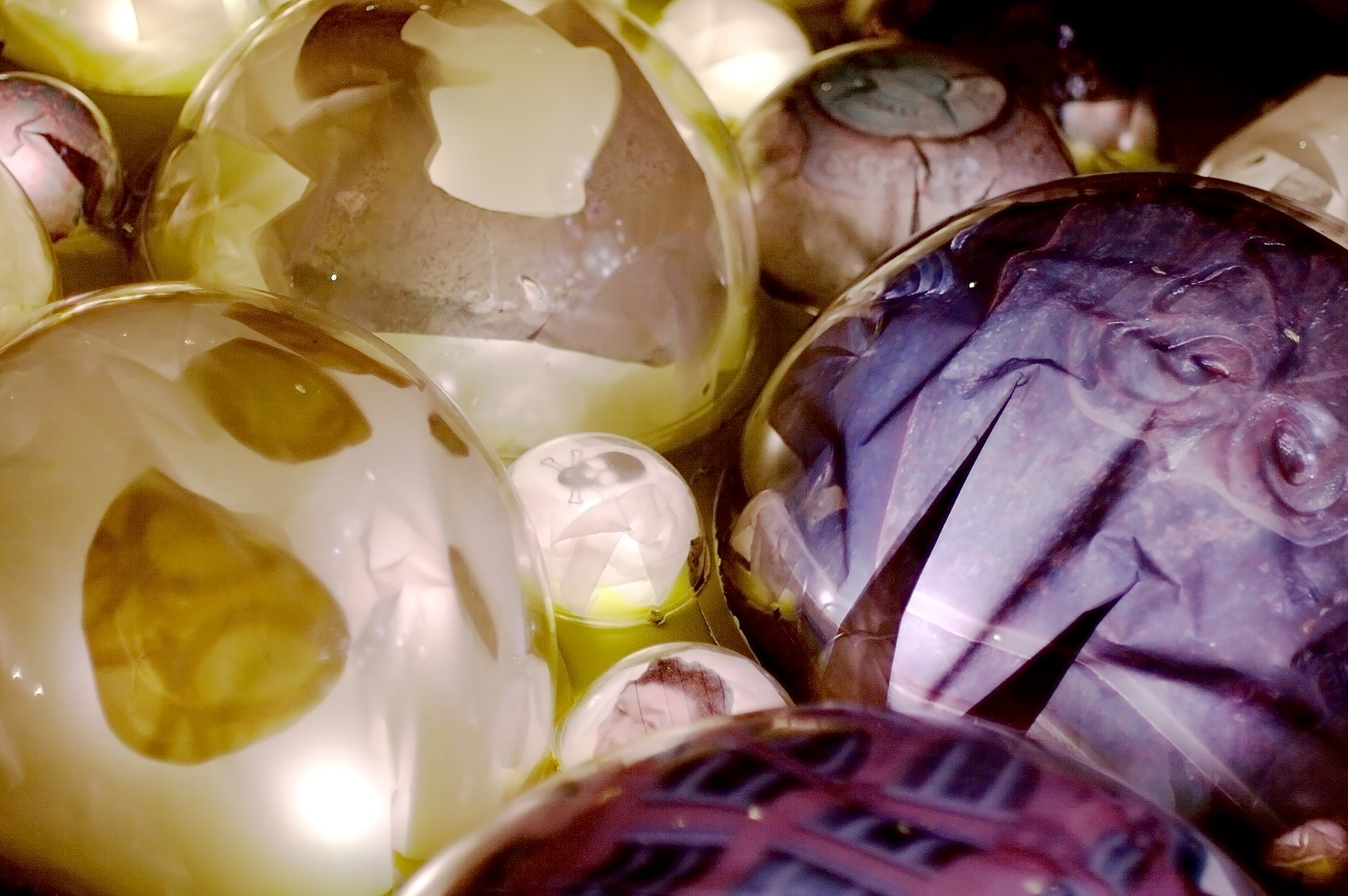 Grimanesa Amoros TERRARIUM