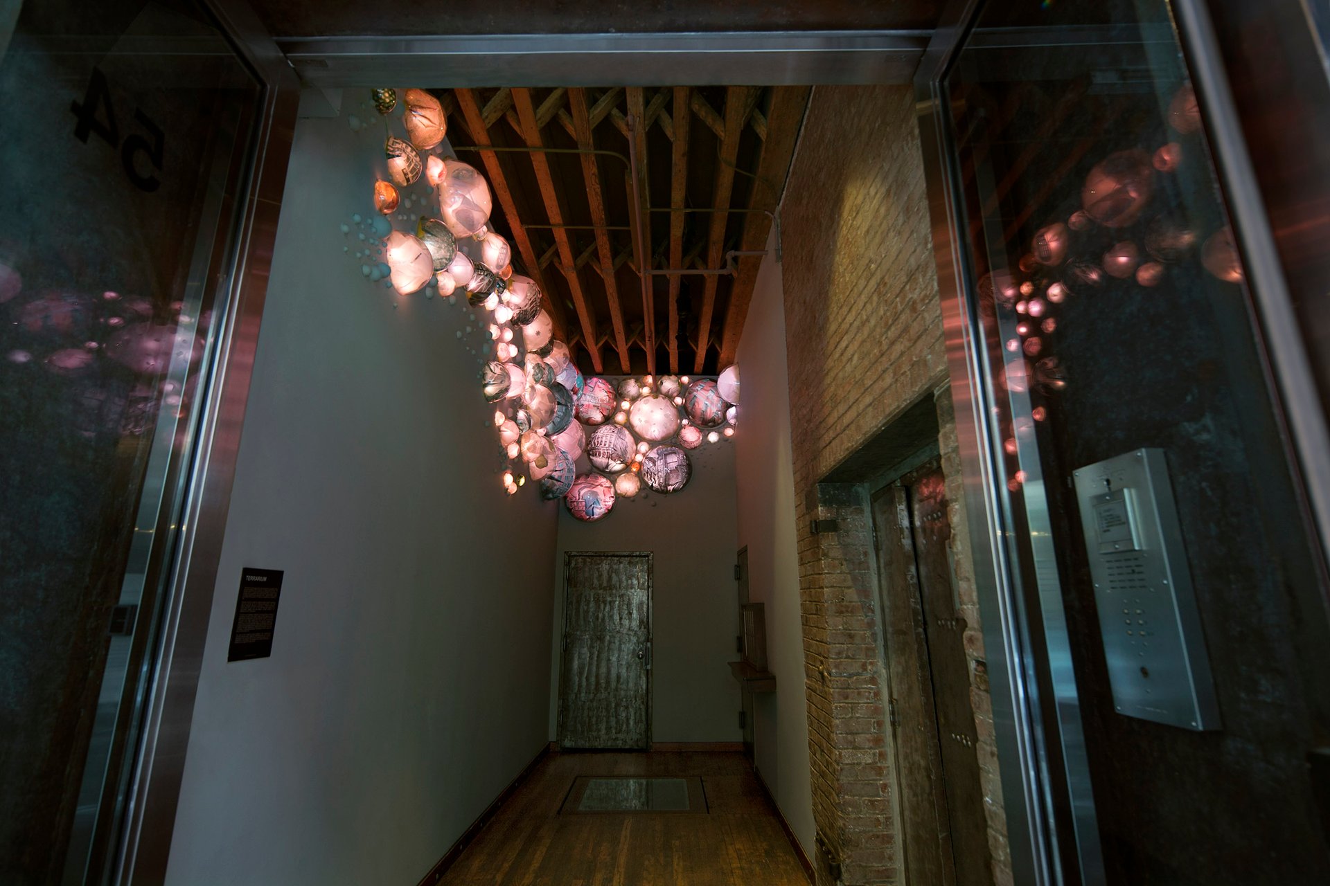 Grimanesa Amoros TERRARIUM