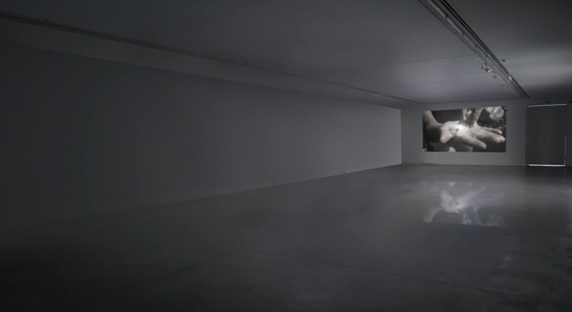 Grimanesa Amoros PUNCTUM CONTRA PUNCTUM II