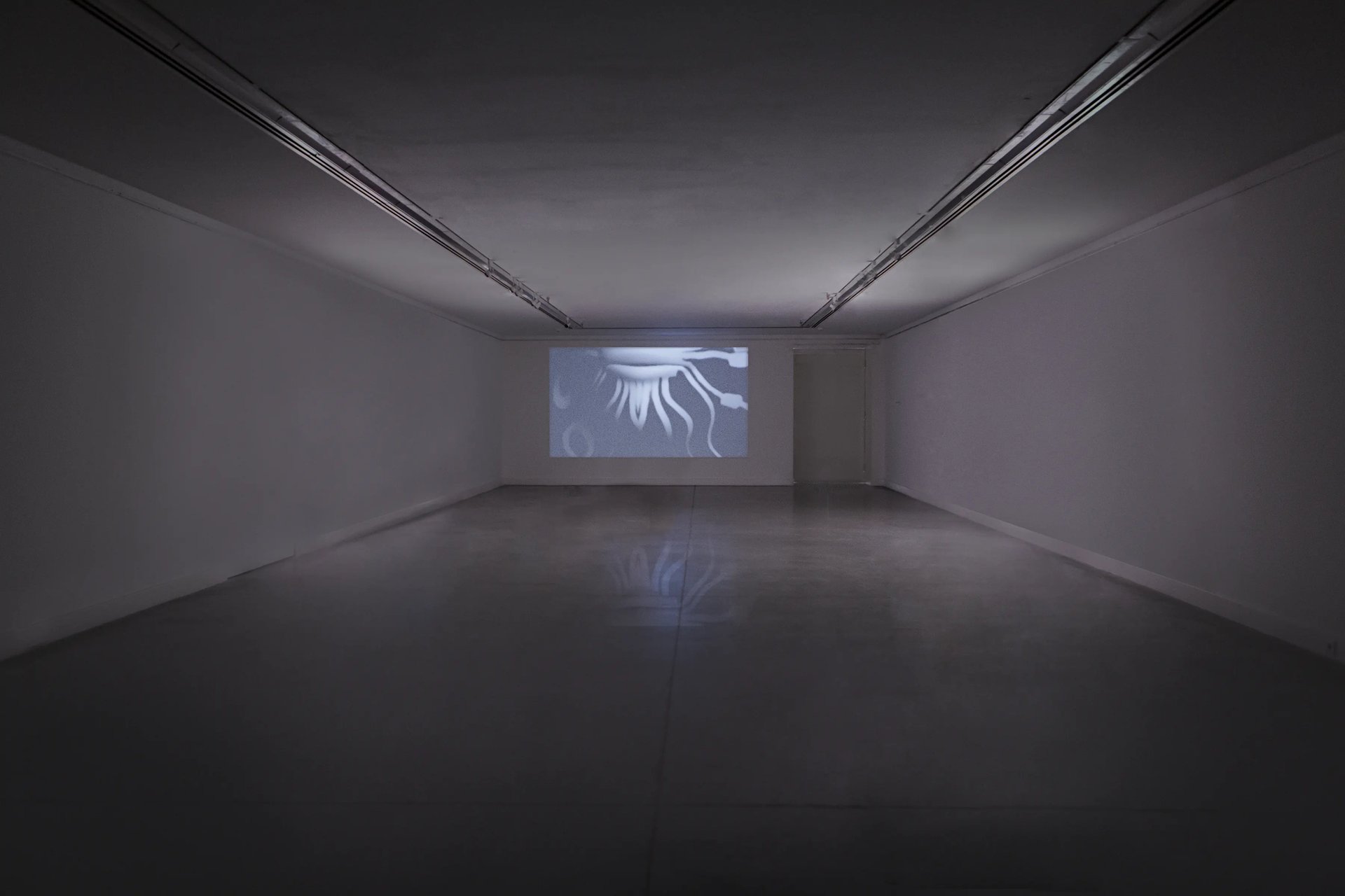 Grimanesa Amoros PUNCTUM CONTRA PUNCTUM II