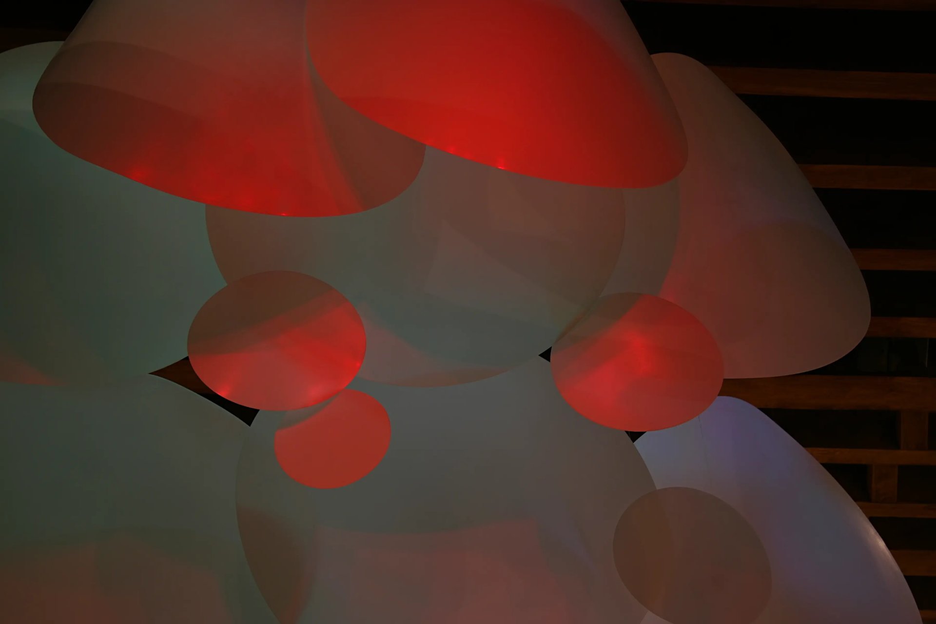 Grimanesa Amoros AURORA