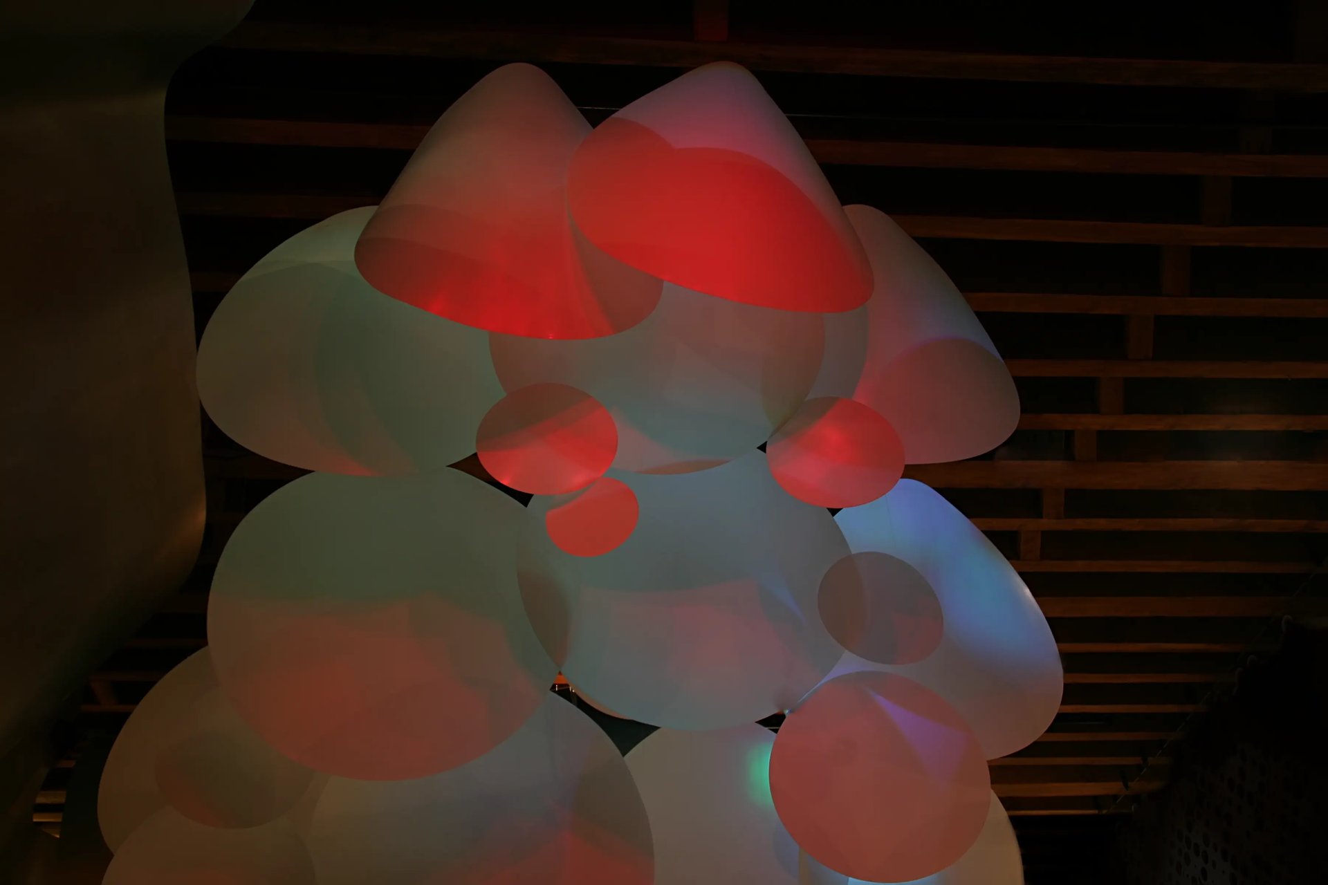 Grimanesa Amoros AURORA