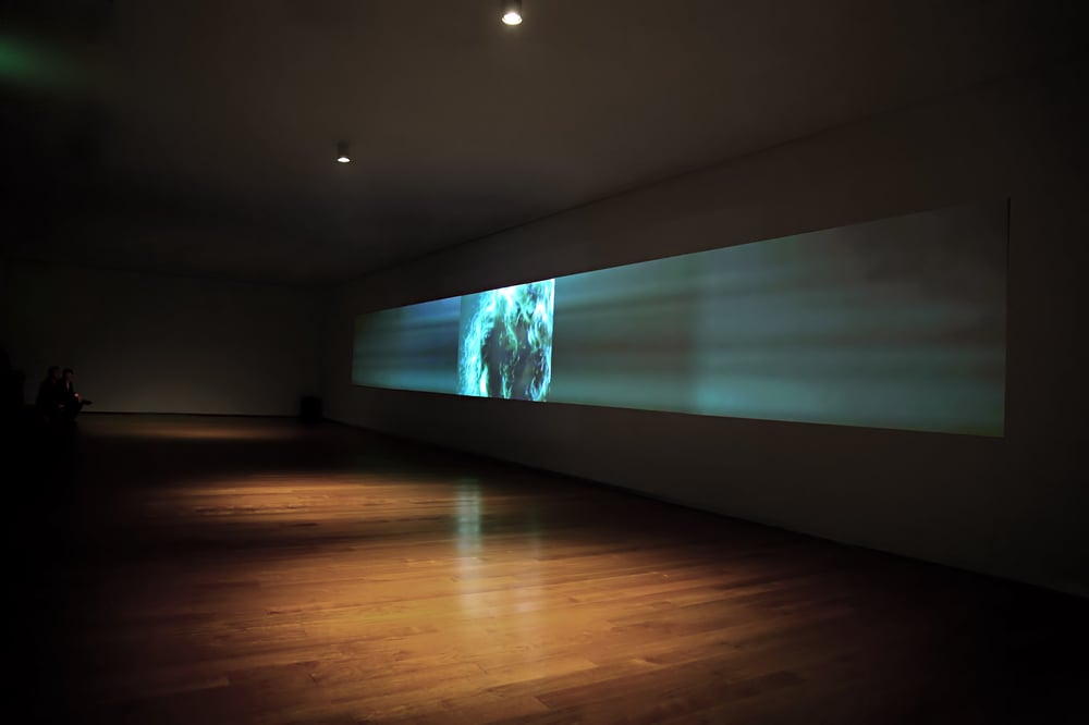 Grimanesa Amoros VOYAGER VIDEO RETROSPECTIVE