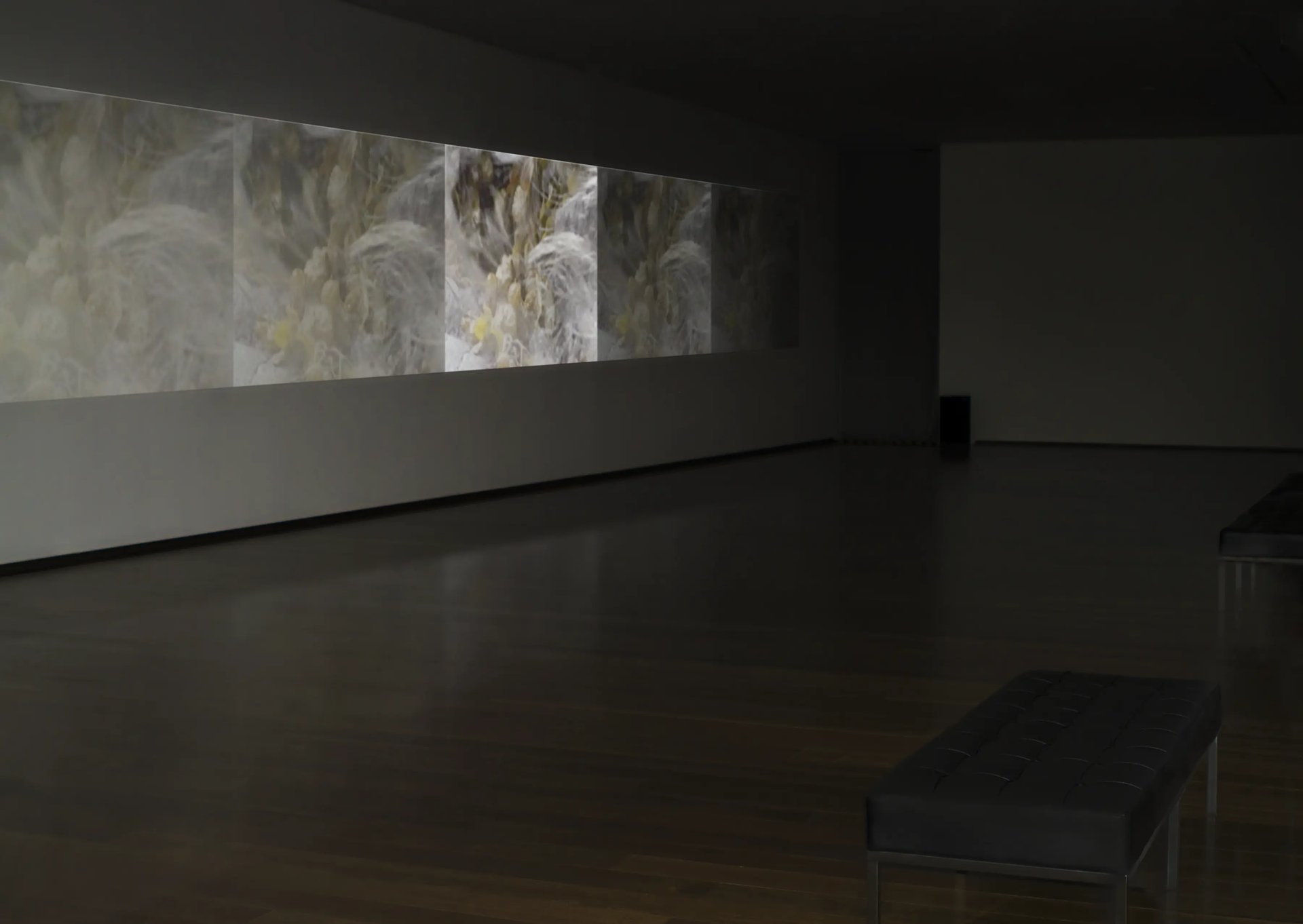 Grimanesa Amoros VOYAGER VIDEO RETROSPECTIVE