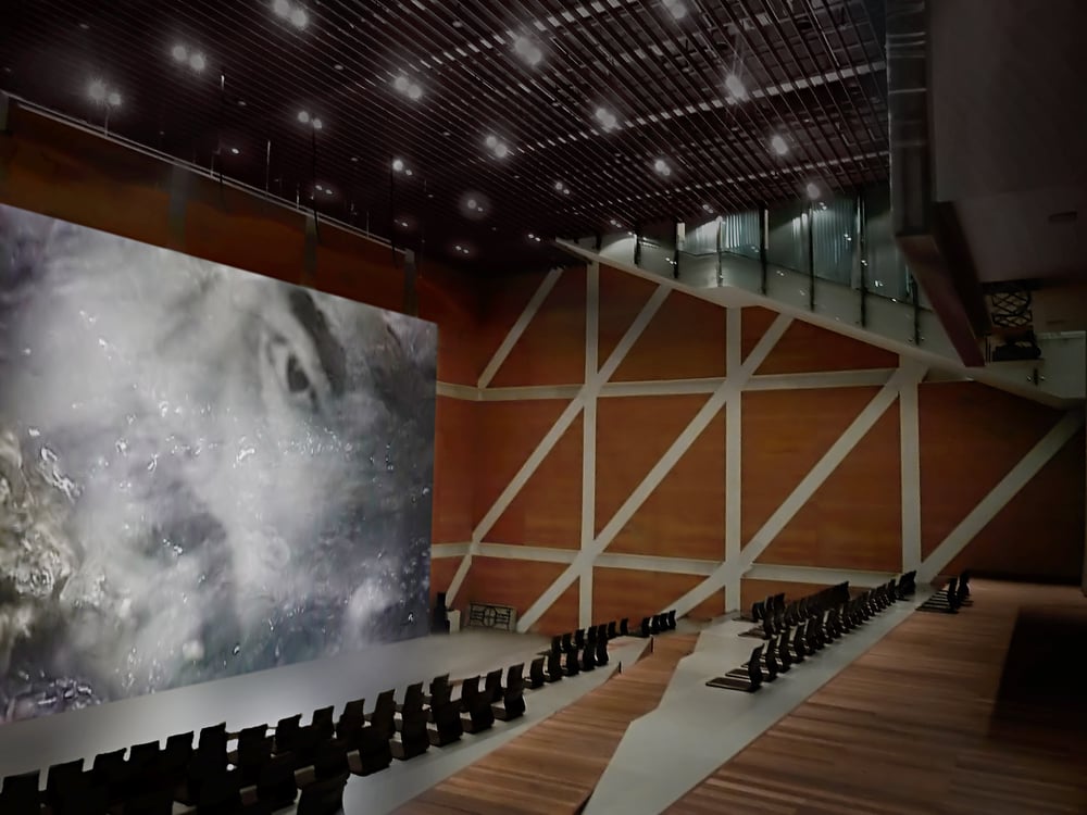 Grimanesa Amoros AURORA