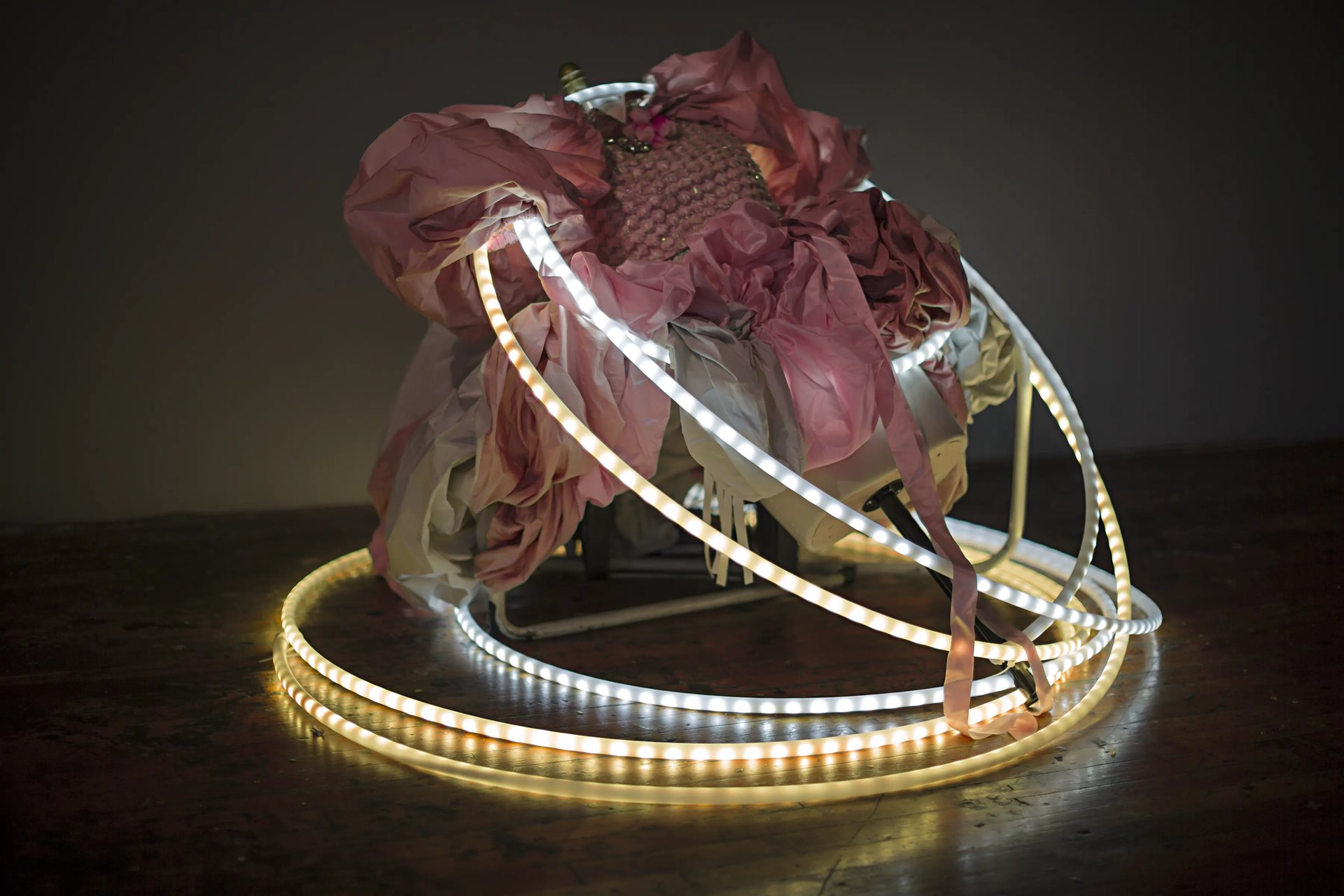 Grimanesa Amoros BOTAN