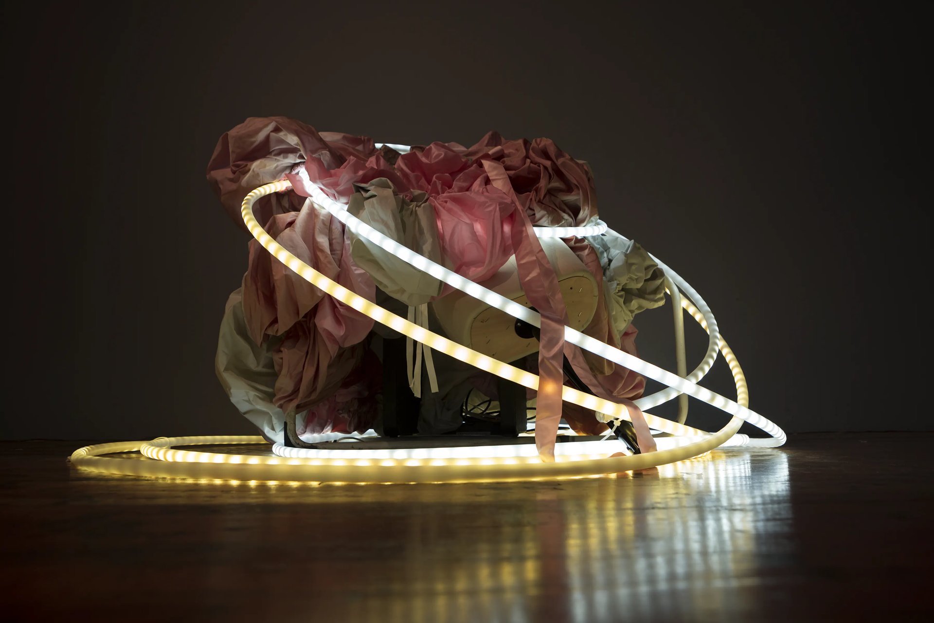 Grimanesa Amoros BOTAN