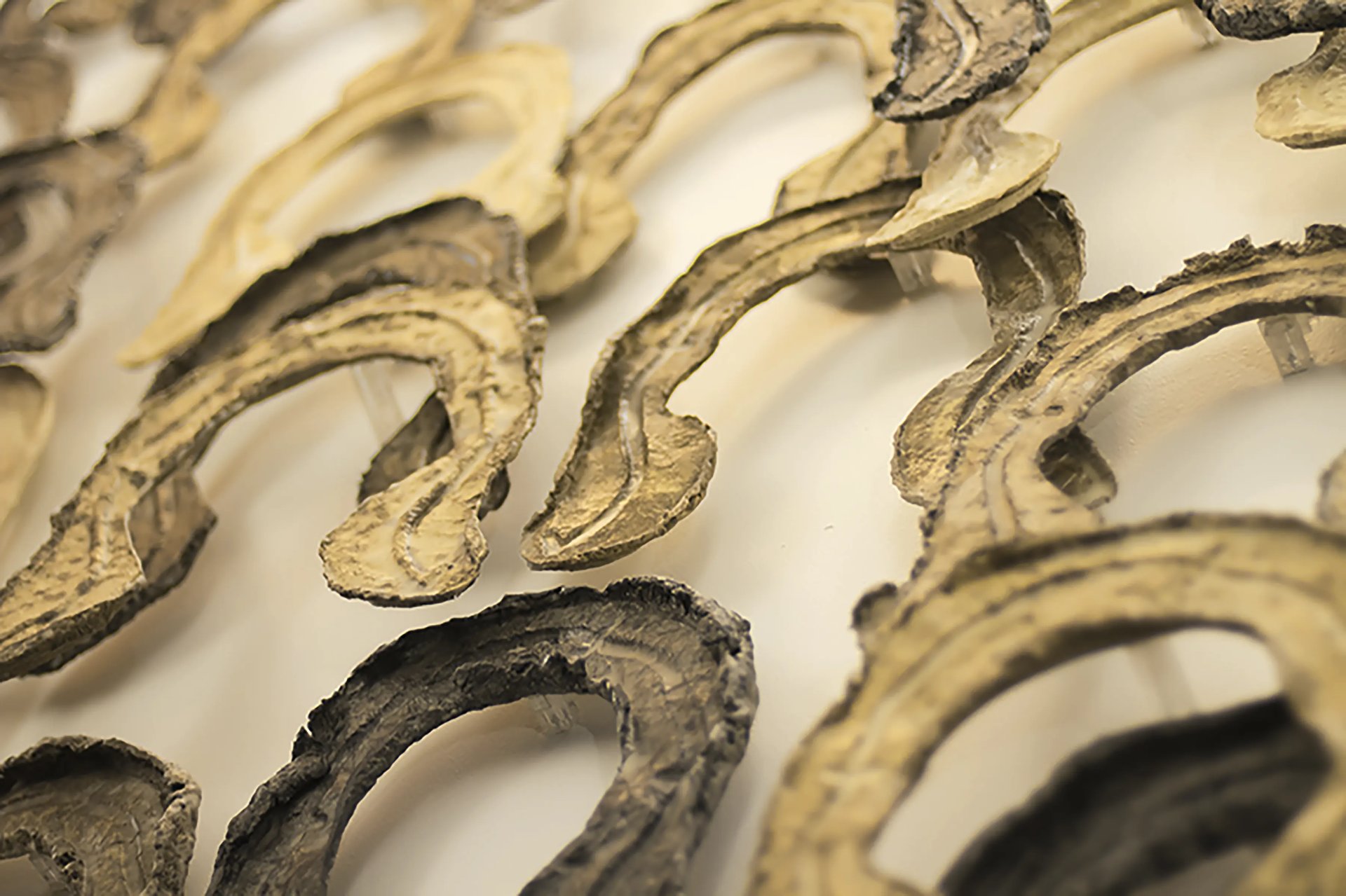 Grimanesa Amoros HUMAN SURVIVAL