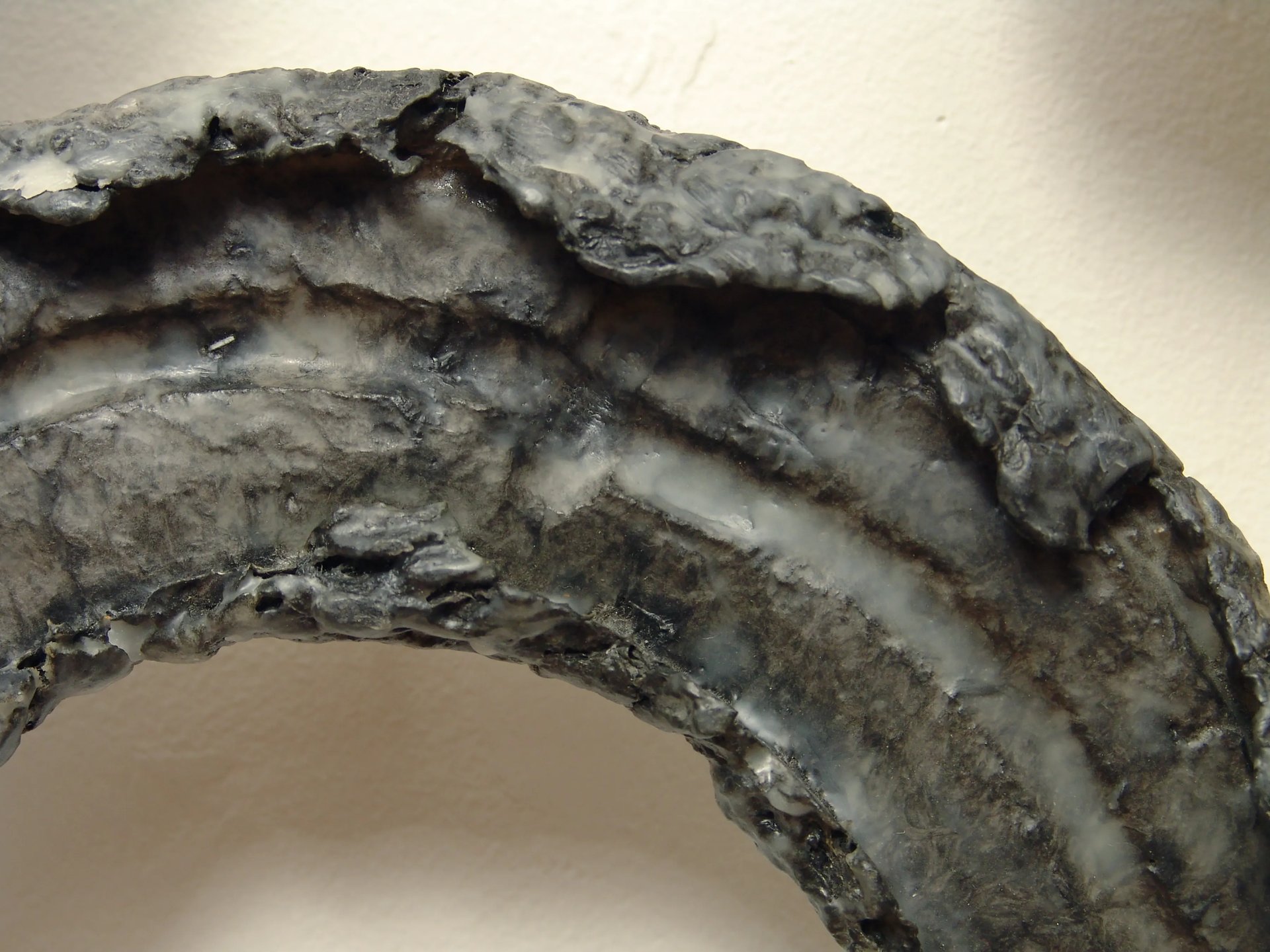 Grimanesa Amoros HUMAN SURVIVAL