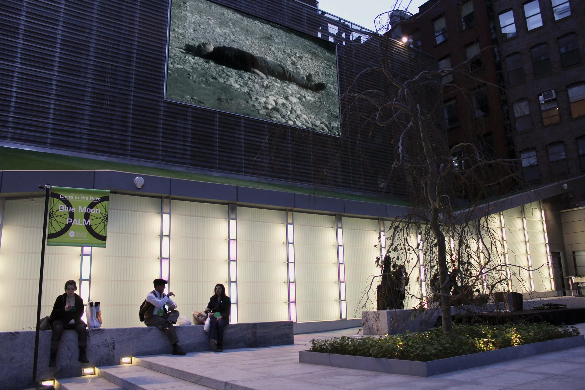 Grimanesa Amoros THE BIG SCREEN PROJECT