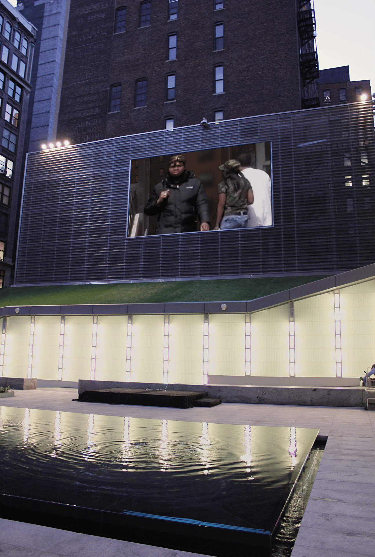 Grimanesa Amoros THE BIG SCREEN PROJECT