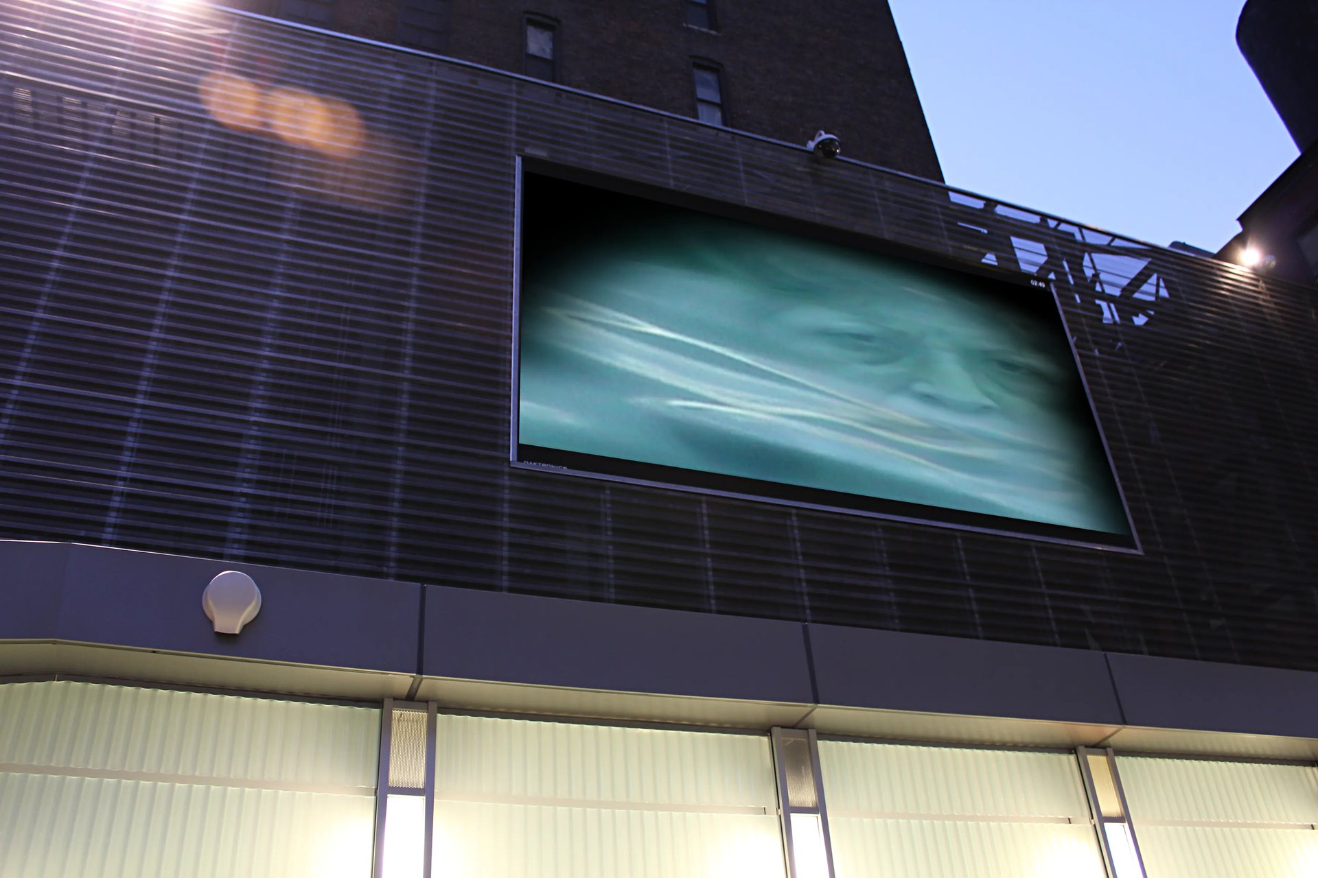 Grimanesa Amoros THE BIG SCREEN PROJECT