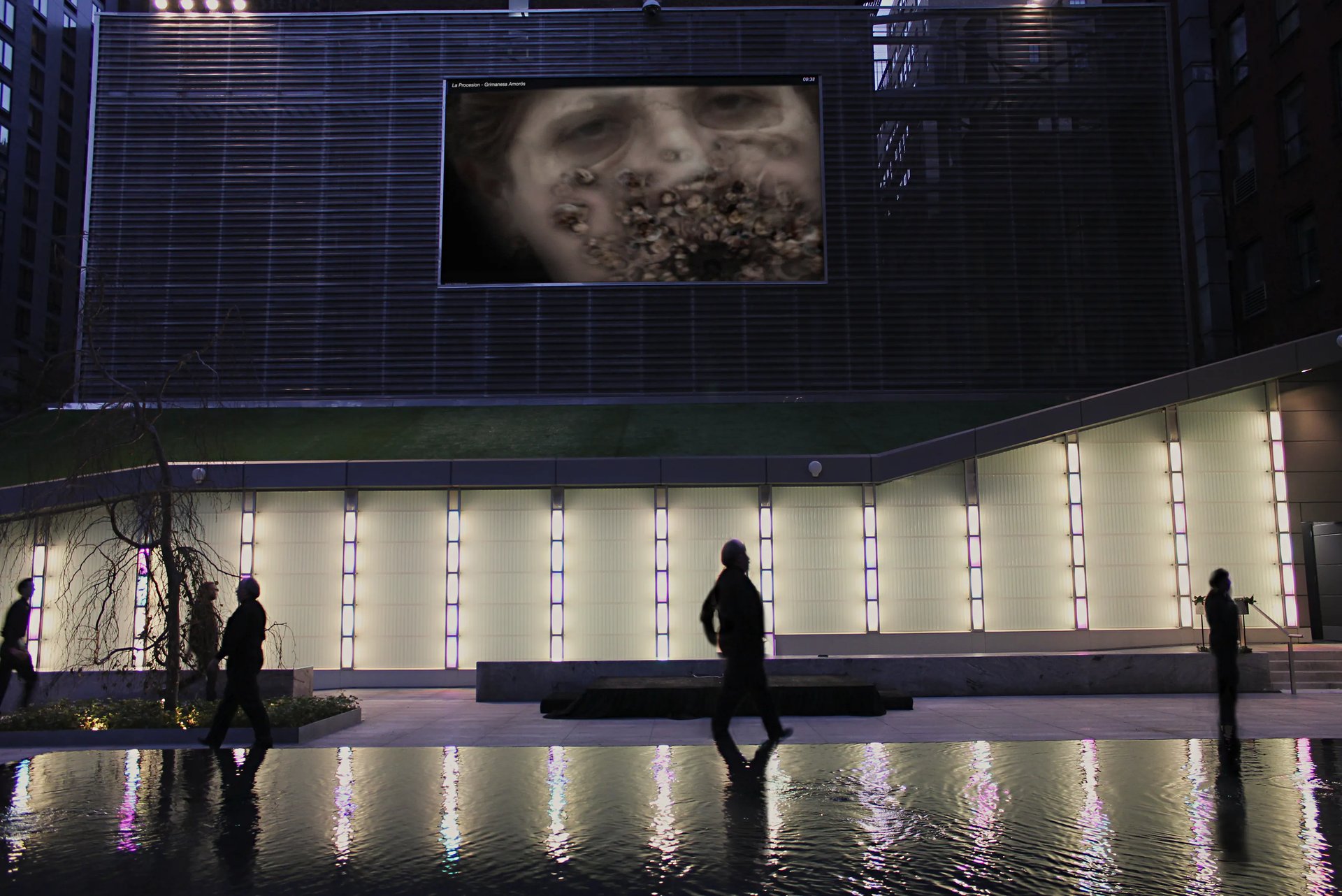 Grimanesa Amoros THE BIG SCREEN PROJECT