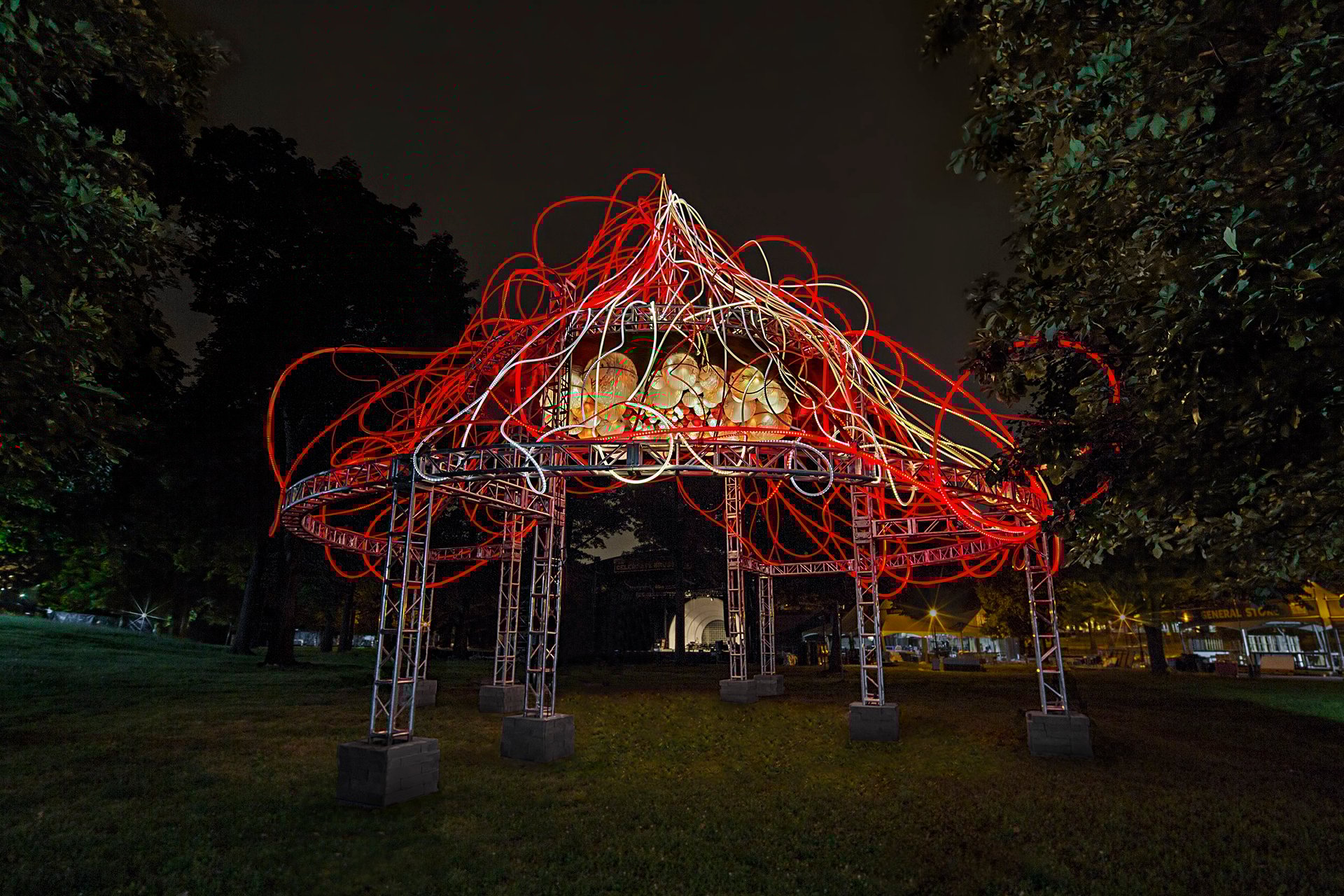 Grimanesa Amoros HEDERA