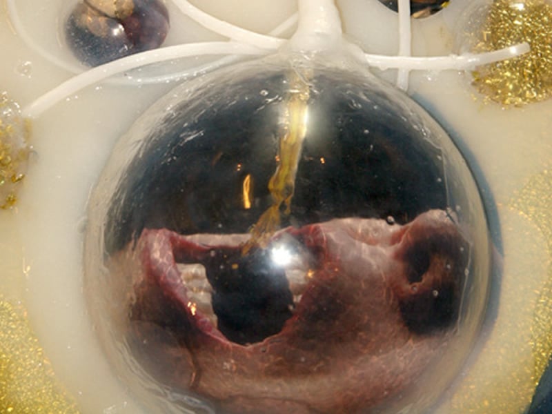 Grimanesa Amoros GOLDEN FUEL