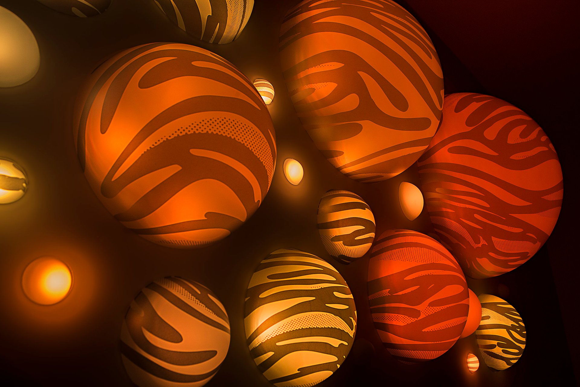 Grimanesa Amoros DNA