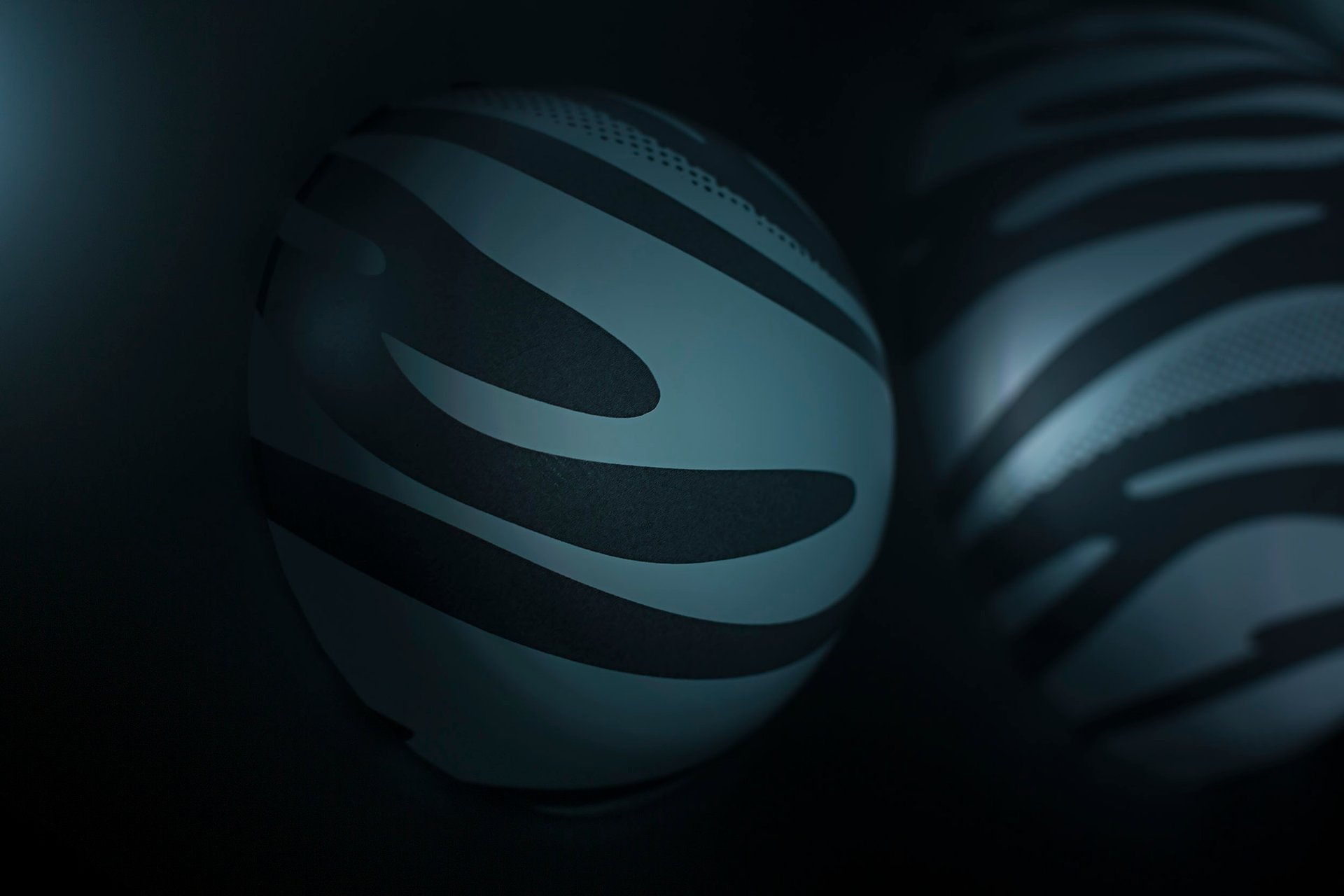 Grimanesa Amoros DNA