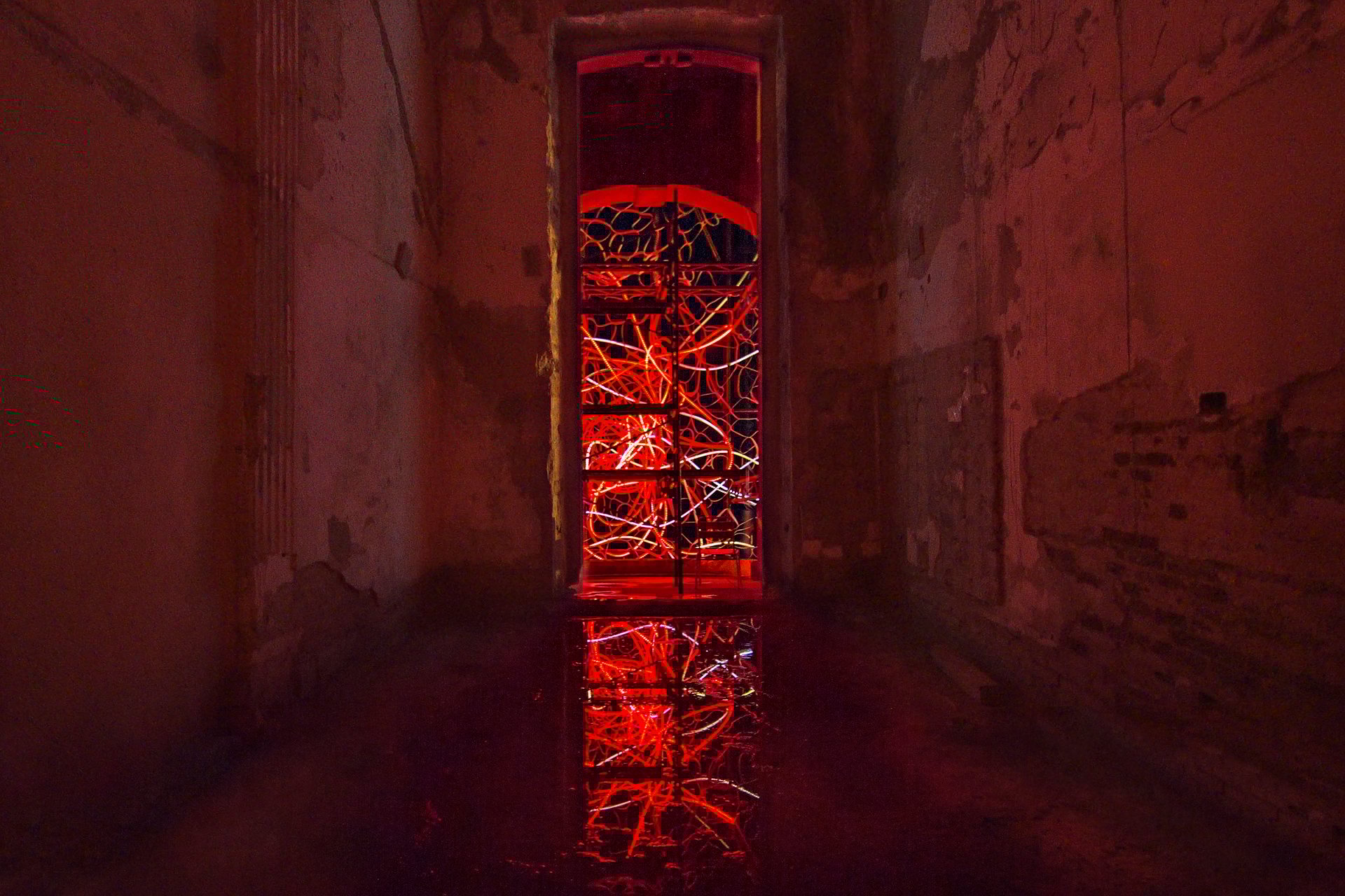 Grimanesa Amoros MARIPOSA DORADA