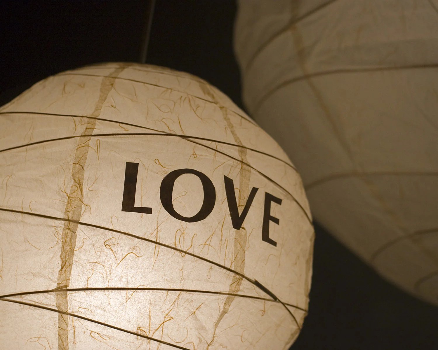 Grimanesa Amoros SUBSTANCIAL