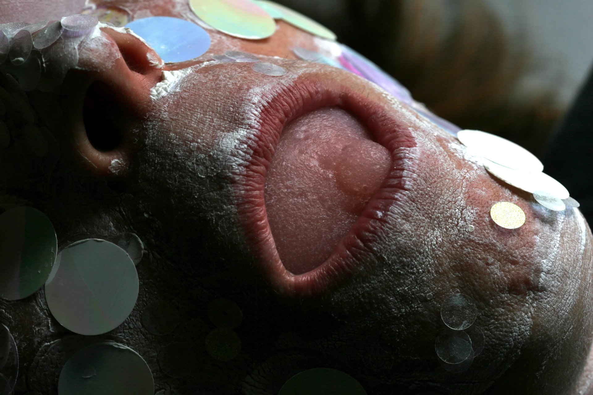 Grimanesa Amoros LE CIRQUE