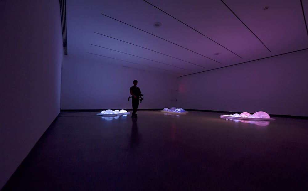 Grimanesa Amoros ONSITE KATONAH