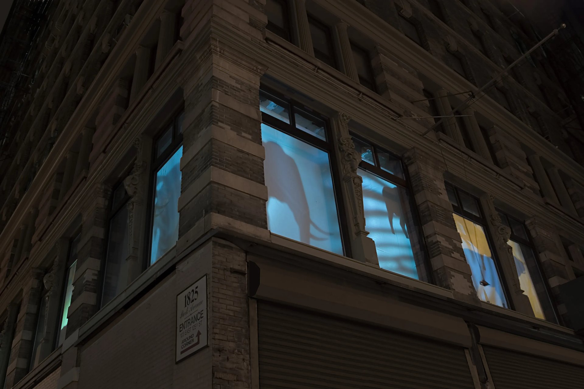 Grimanesa Amoros FRENTE FEROZ